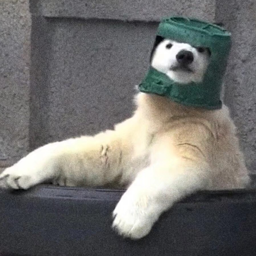 傻儿傻什伍