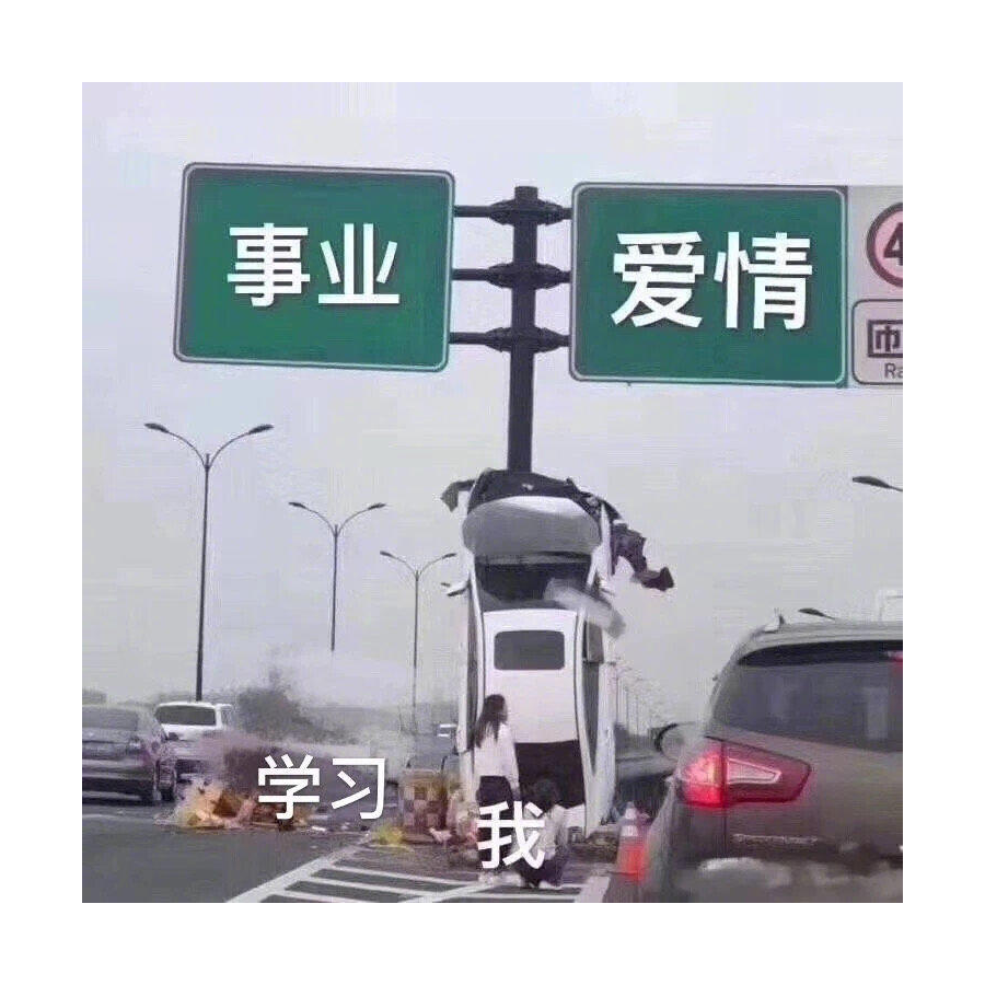 沈乐