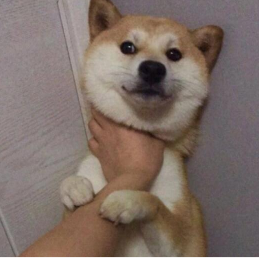 专心