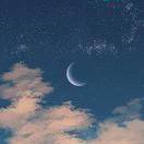 兔子的胡萝卜先生