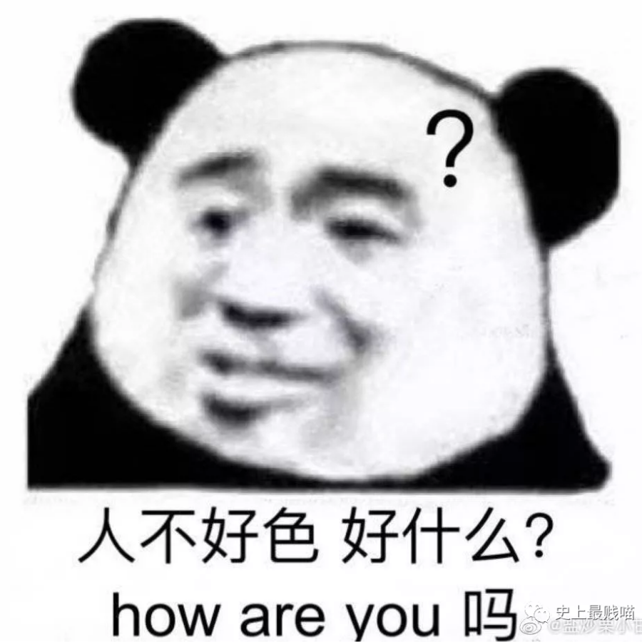 我爱何猪猪