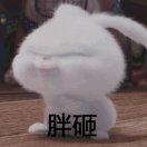 求不得