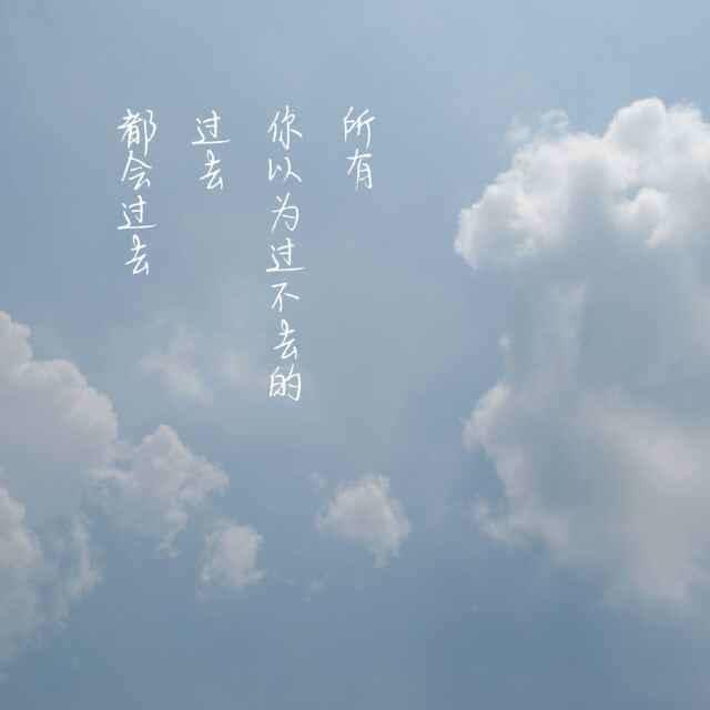 樱花雨