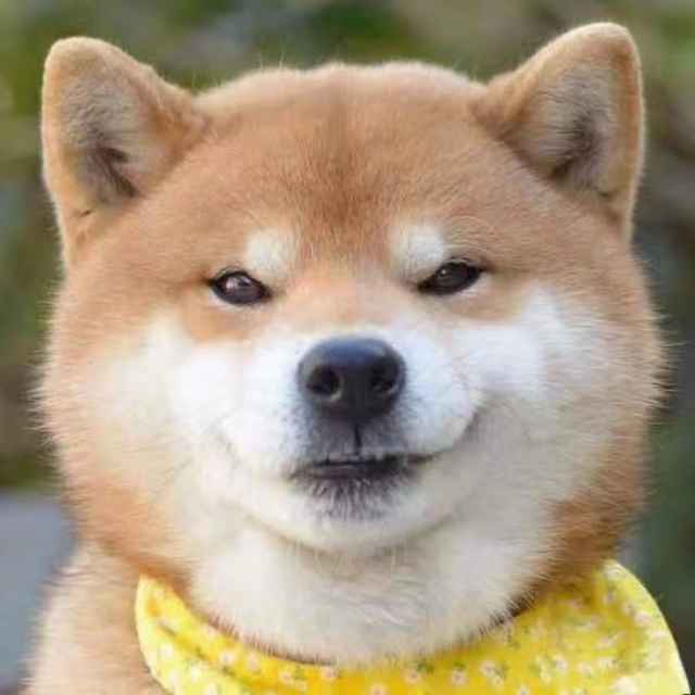 Wen--铭