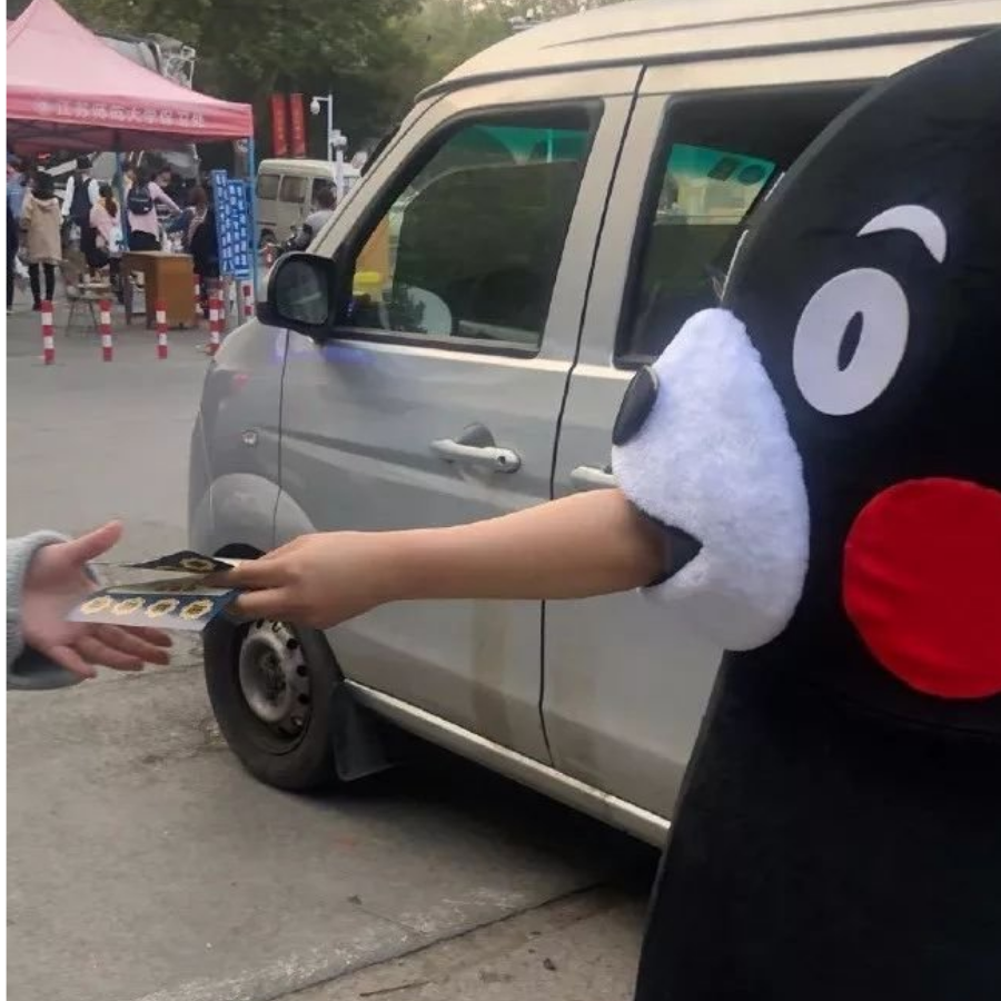 一只海龟成功入水