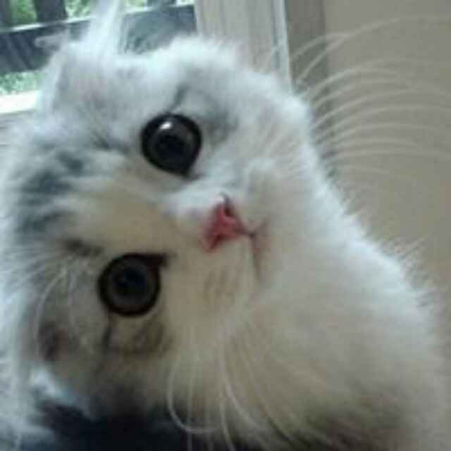 蜗牛小姐