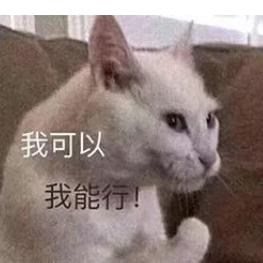 镜花水月皆为梦