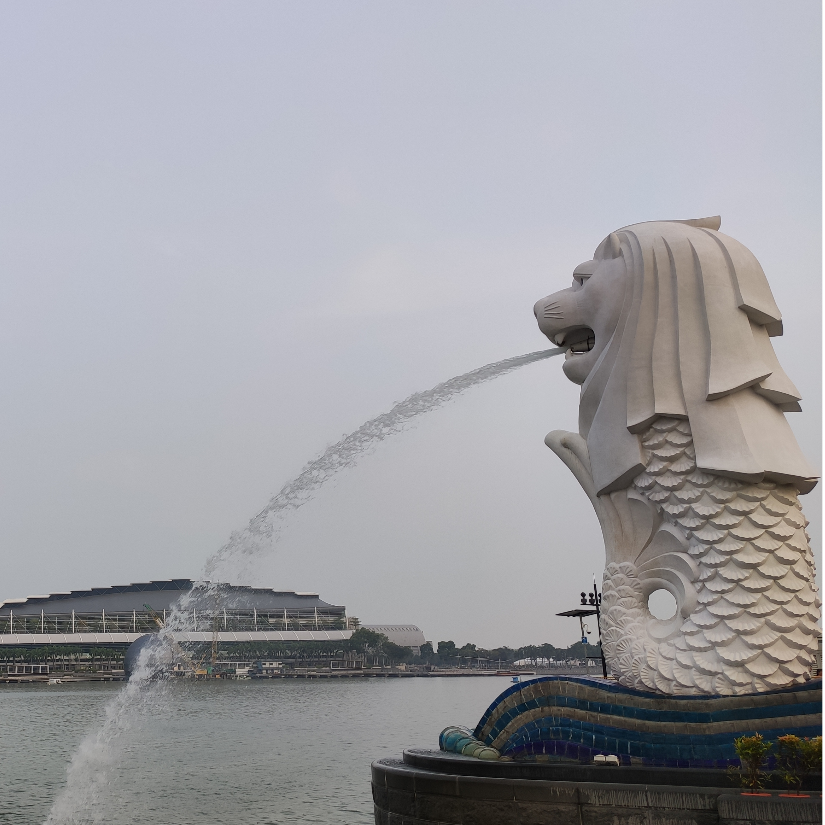 威猛小老虎