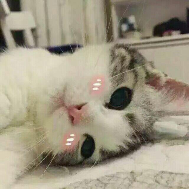 功夫深  套路真