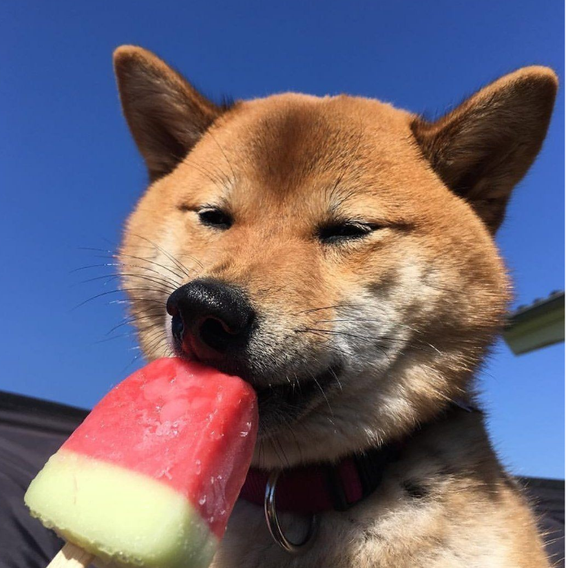 昵称无法显示