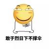 浪“你”个浪～～