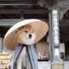 ^始于初见^