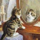 放弃清华上广建