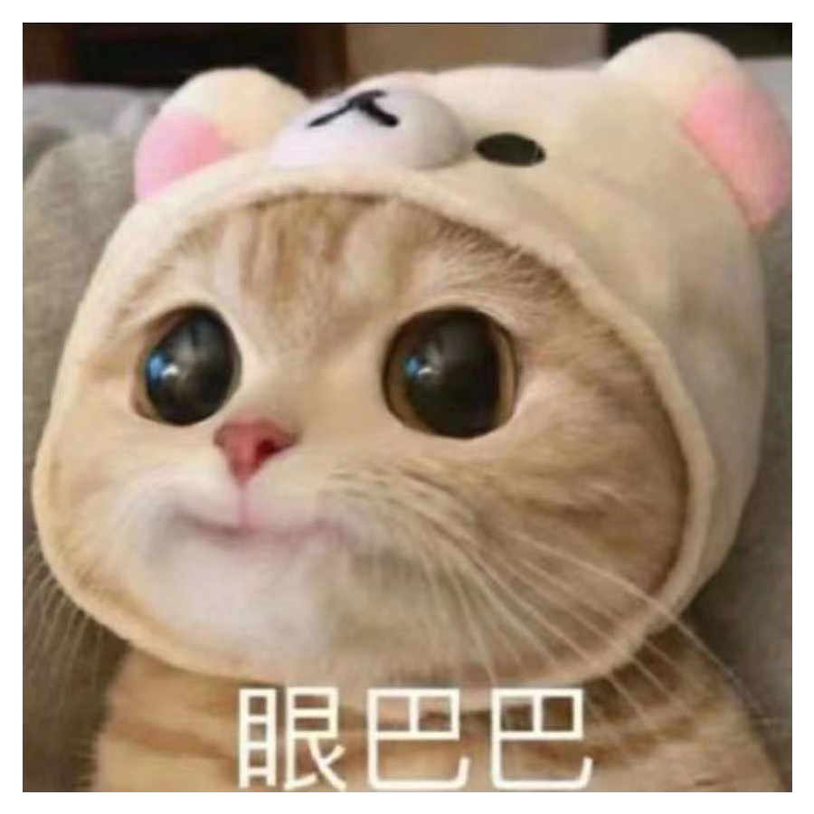 茶淇子