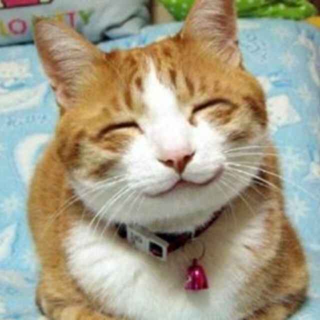 未输入昵称