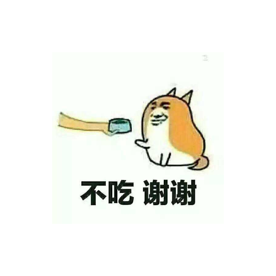 小狗子