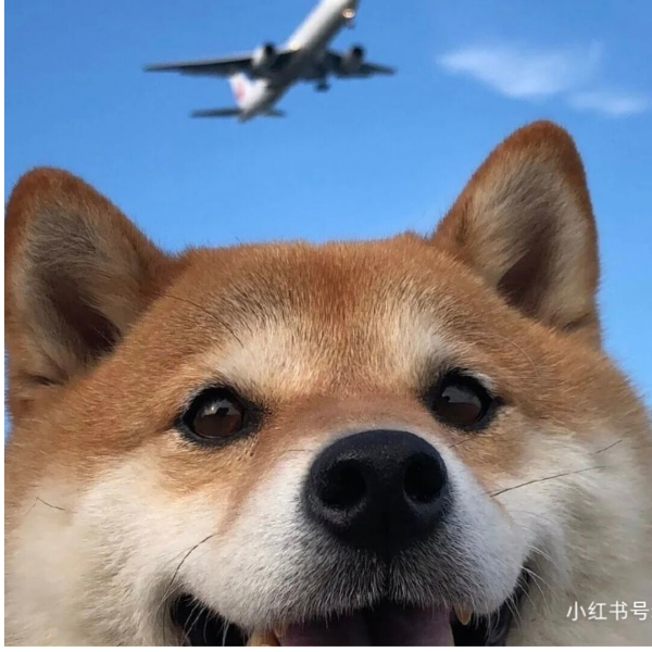 西安ღ