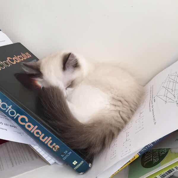 pyq