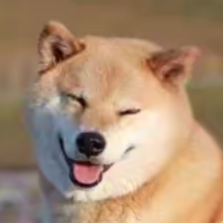 鼠标