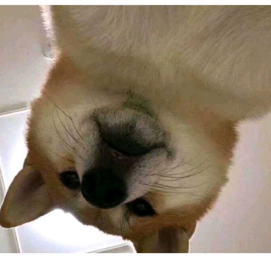 我……出山了