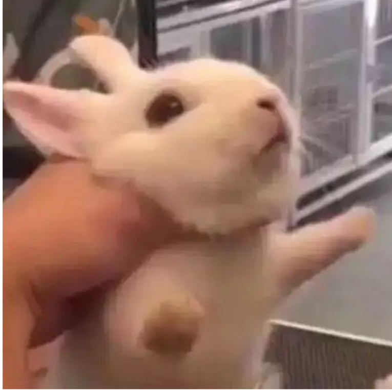 神烦