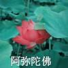 归晚