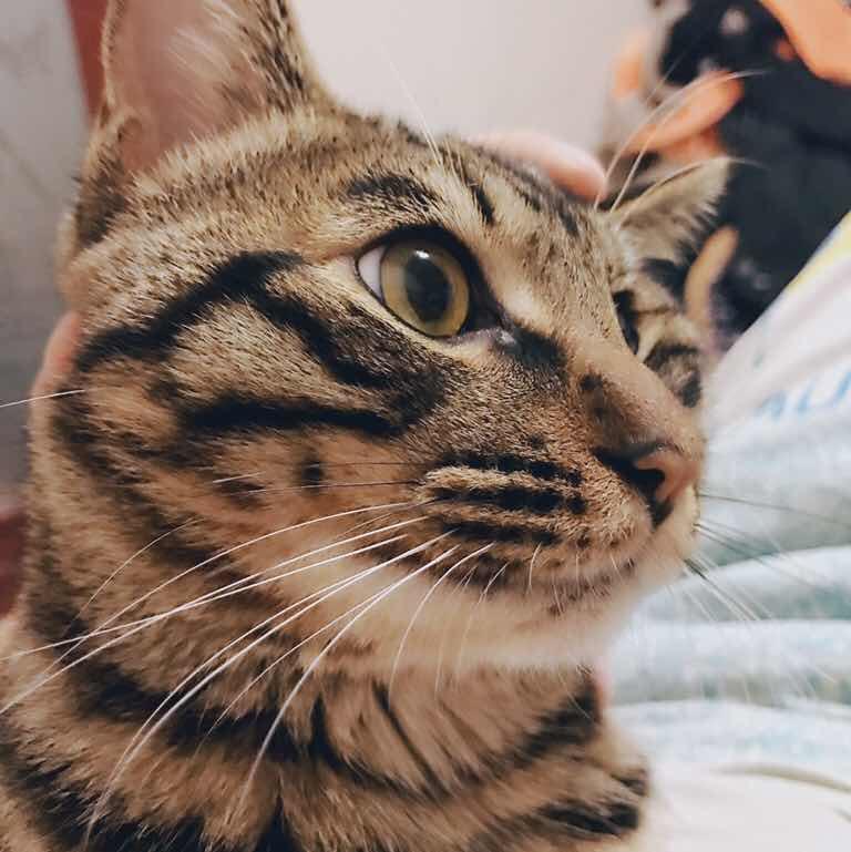 Micky