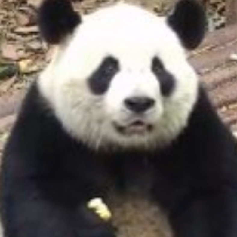 二八