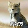 起舞弄清影