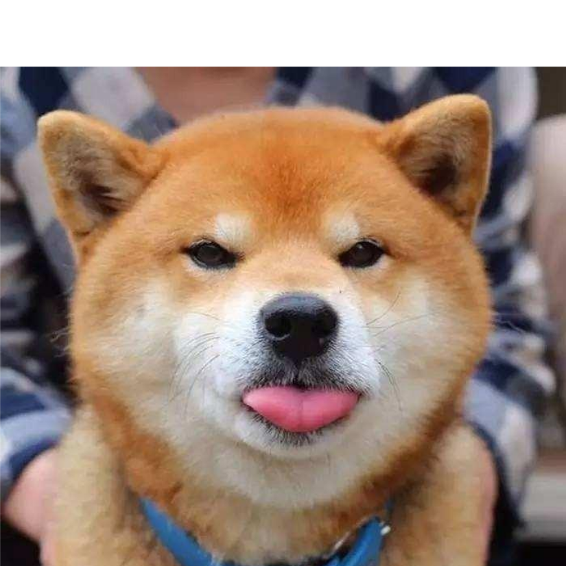 旧梦