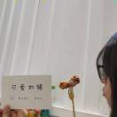 王小杰