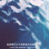 两只老虎