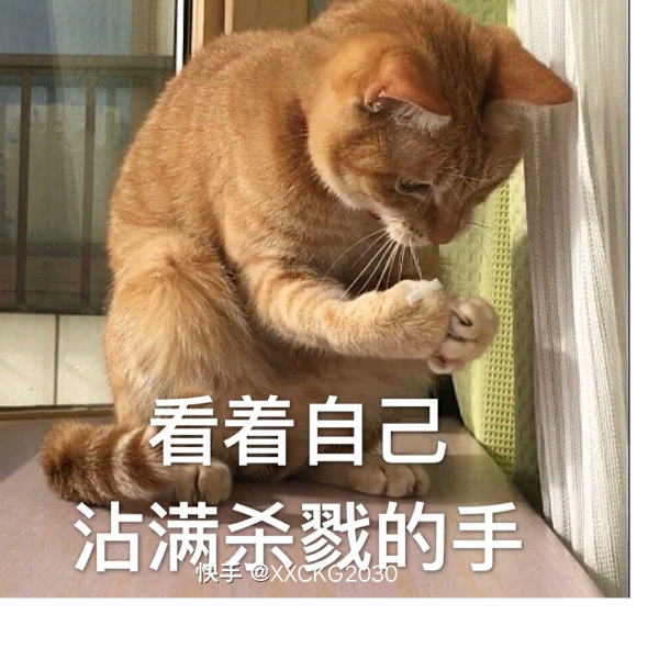 何苦来哉