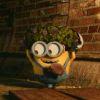 King  Bob