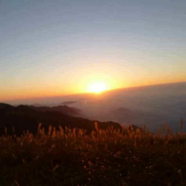 彼岸