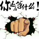 User26163702