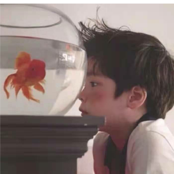 十七.