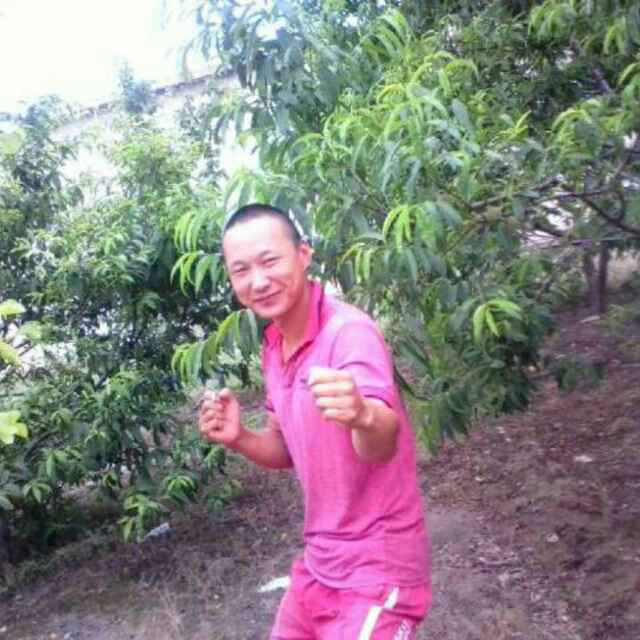 王大厚