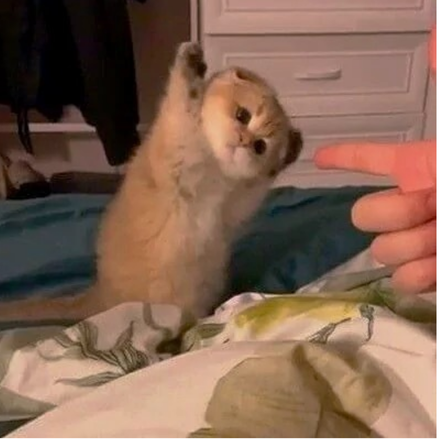 Xiziiiiiiii