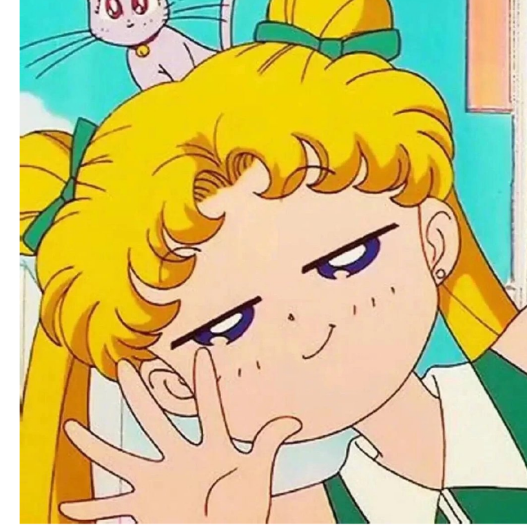 月野小野猫