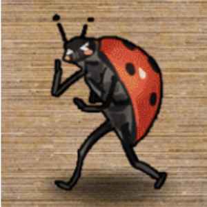 不可思议的小甲虫