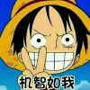 ノアのゾロ