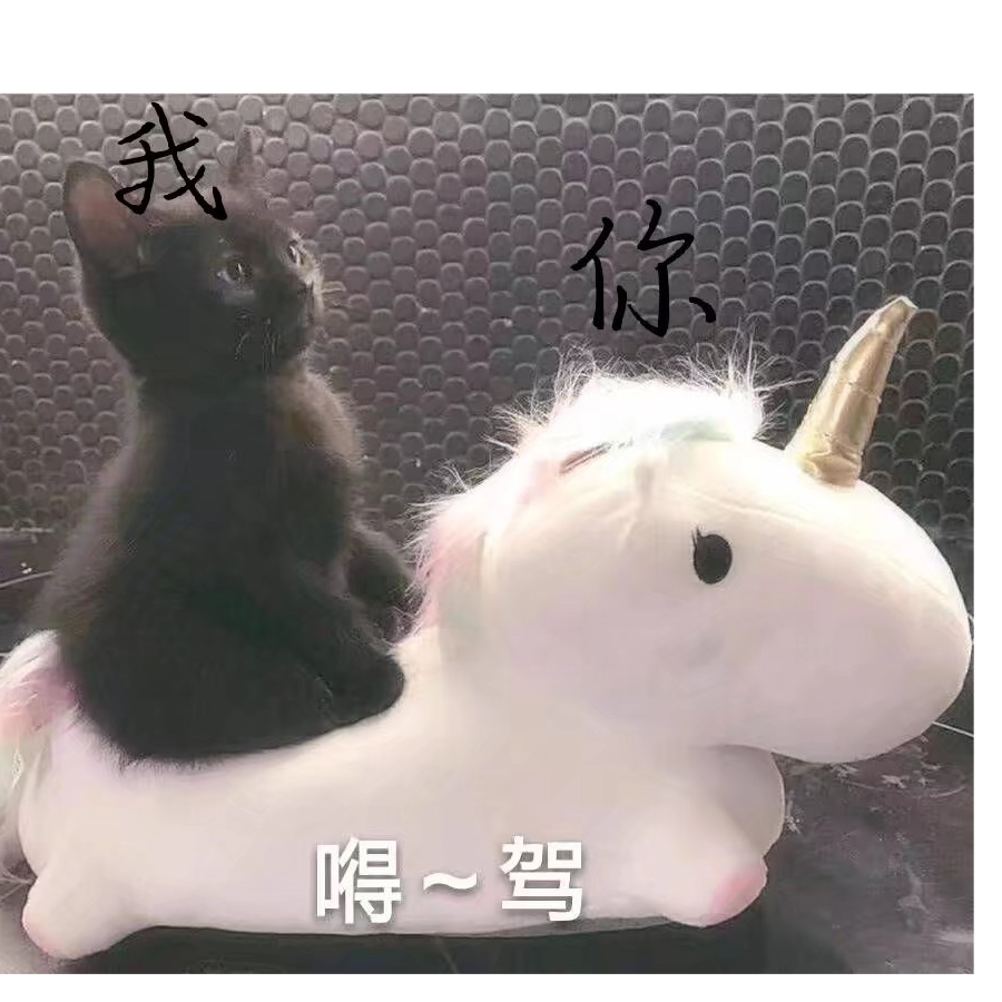 ＆   ◎野猪佩奇