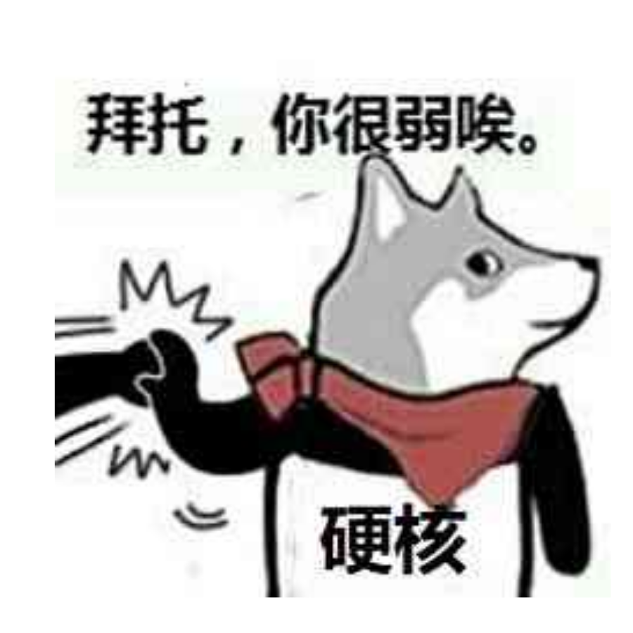 硬核玩家