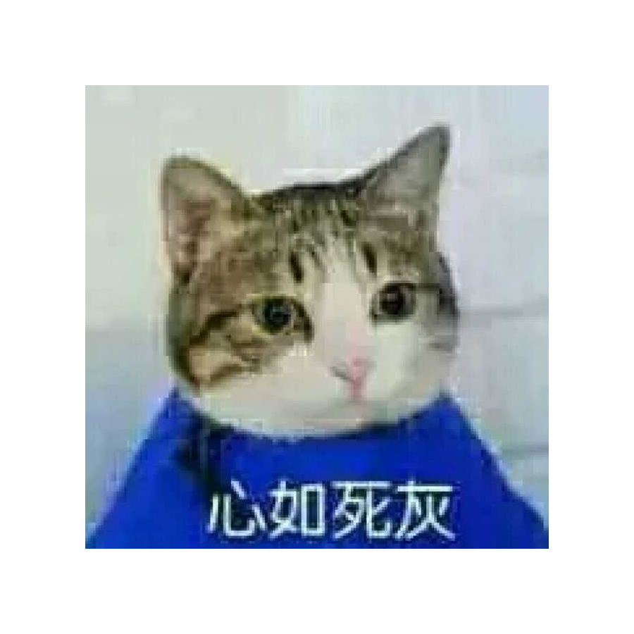 涂山哒哒
