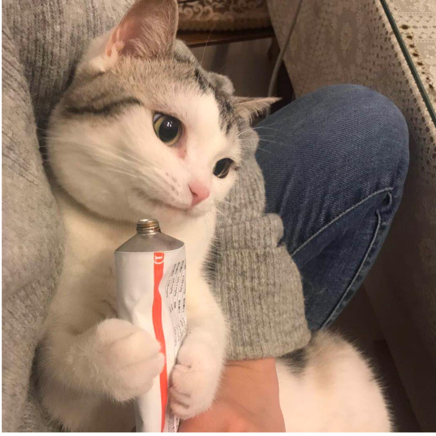 青木源