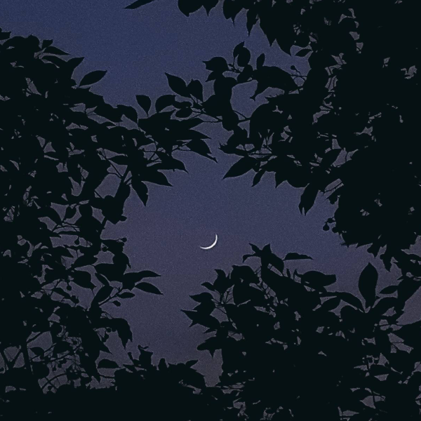 丘山