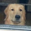 无敌旋风腿-triblade