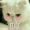 伤心的泪