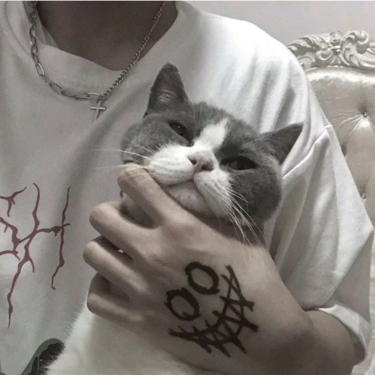 李昱彤